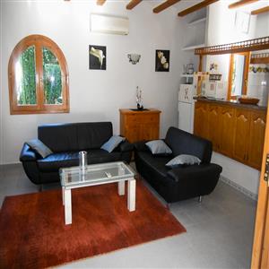 Camelia 10