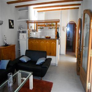 Camelia 10