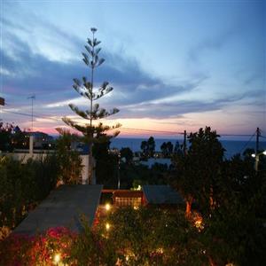 View from Studio