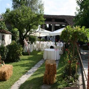 Party in our garden