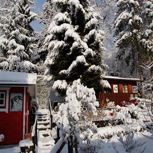sauna and "Blockhouse" winter