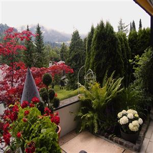 garden next to terracce