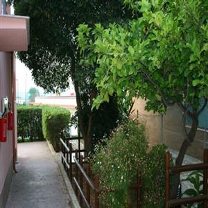 Garden Area