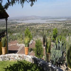 Beautiful garden
