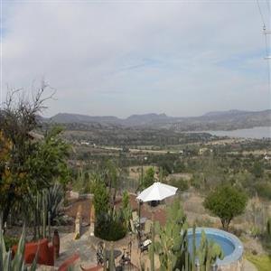 Panoramic view