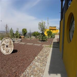 Beautiful garden
