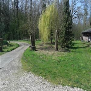 Road meets yard