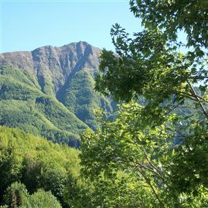 summer view