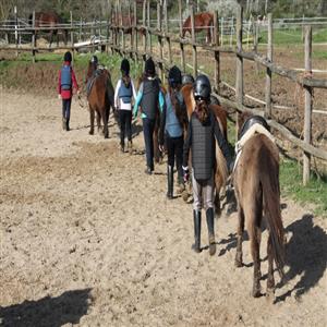 The riding horse near Agrimerlano