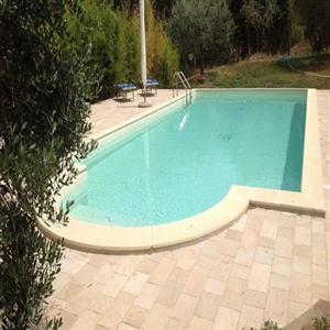 The swimming pool for guests