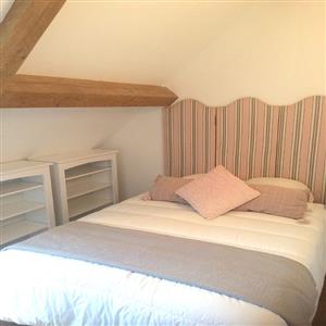 Room Rose tutu