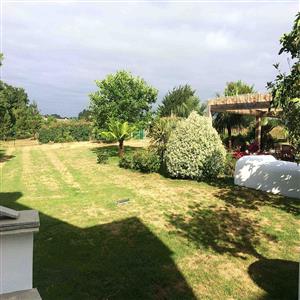 The fenced garden