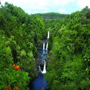 Umauma Falls - 1 mile away!