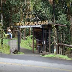Hawaii Tropical Botanical Garden - Only 8 miles!