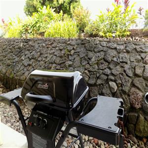 Gas barbecue for those great fish fillets!