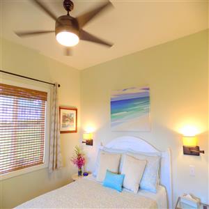 Large, quiet, remote-controlled, ceiling fan.