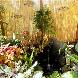 Pond and waterfall feature w/ tropical garden.