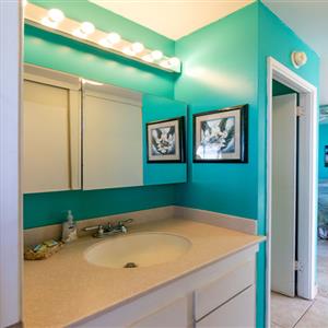 Vanity to Bathroom #1