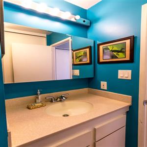 Vanity to Bathroom #2