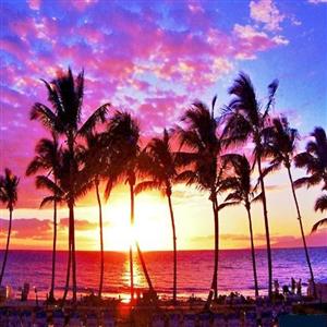 Enjoy a Maui Sunset