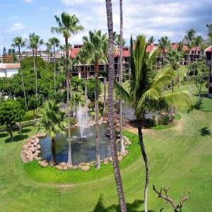 Beautiful Gardens on Property
