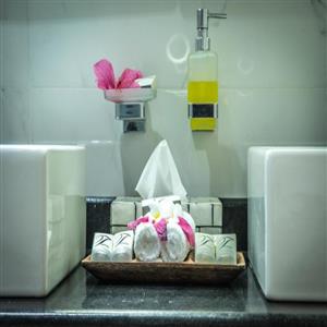 Amenities ( Shampoo, soap, etc.. )