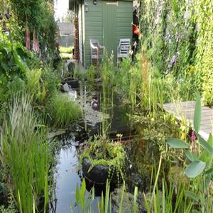 Tuin 5