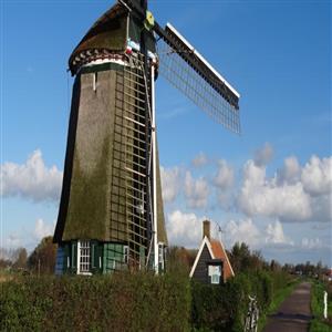 Alg Molen