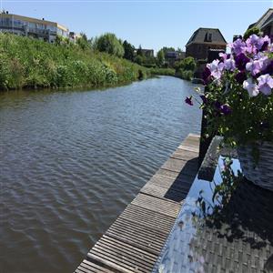 View from the dock