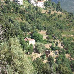 our property in the "maquis"