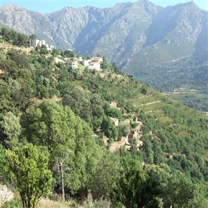 our property in the"maquis"