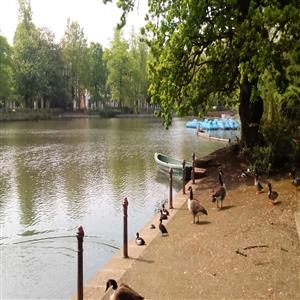 Crystal Palace Park – boating lake