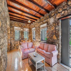 Living room and dining area