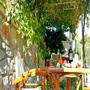 Barbeque area, having a drink.