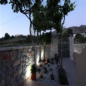 Beautiful garden at night.