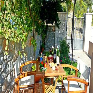 Barbeque area with grapes and colourful flowers.