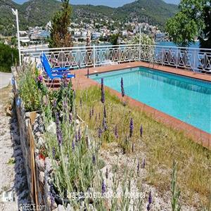the pool