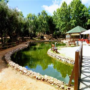 youth park