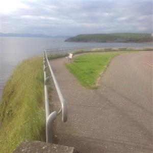 One of many walks in evening