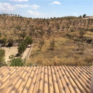 View from the valley room