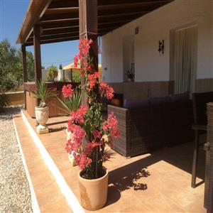 sun on the terrace