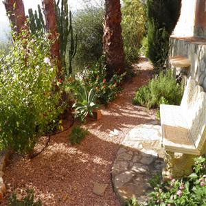 A garden bench to while away the time on.