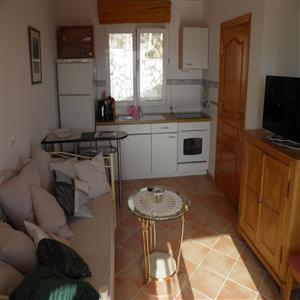 Living room with a kitchenette in the apartment
