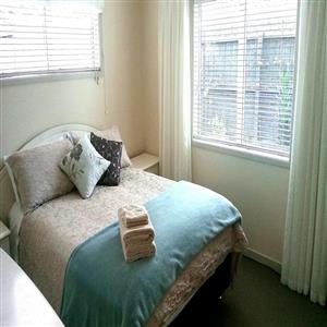 Comfortable and spacious queen bedroom