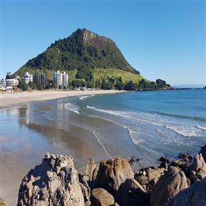 Nearby beautiful Mt Maunganui/popular surf beaches