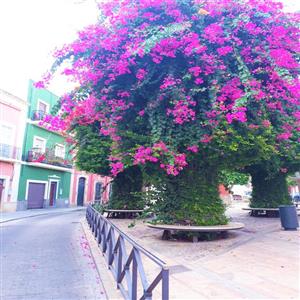 Guesthouse square