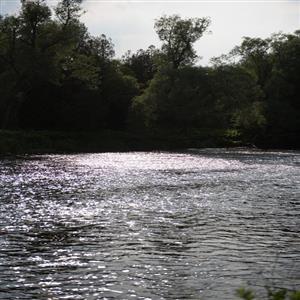 The Famous Grand River steps from your suite