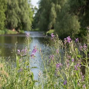 Premuim Fly Fishing location