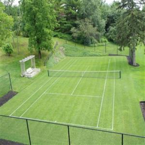 Access to rare grass tennis court