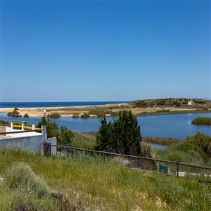 View to the ocean